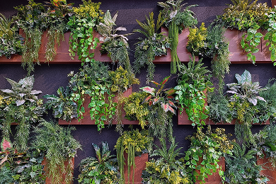 Vertical Walls and Kitchen Gardens