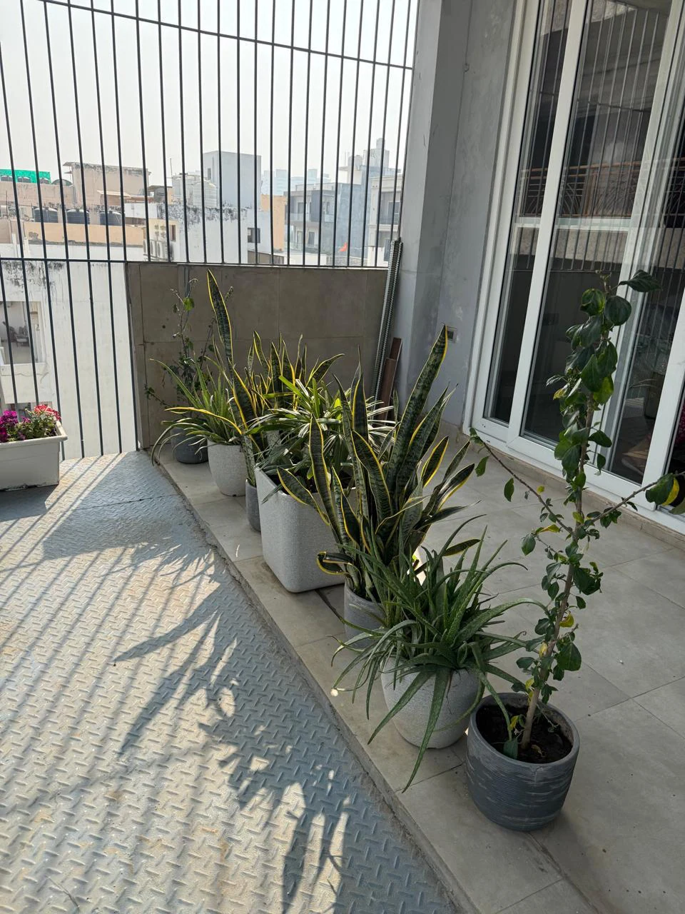 Garden 1